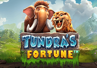 Tundra's Fortune
